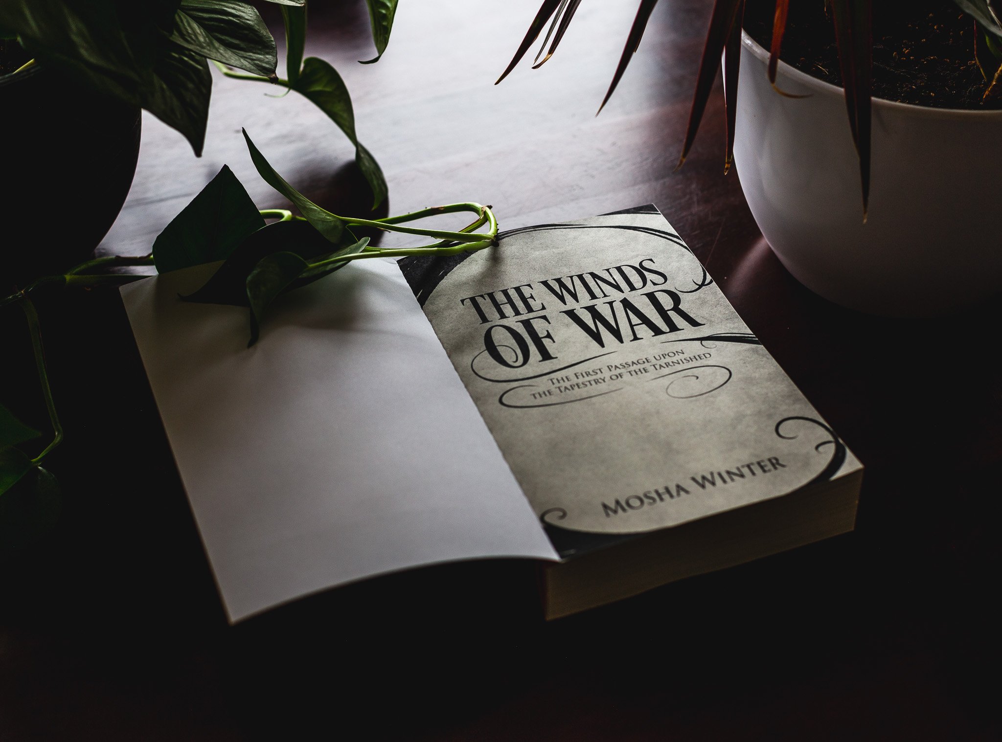 Memento Mosha: 2025 In Review