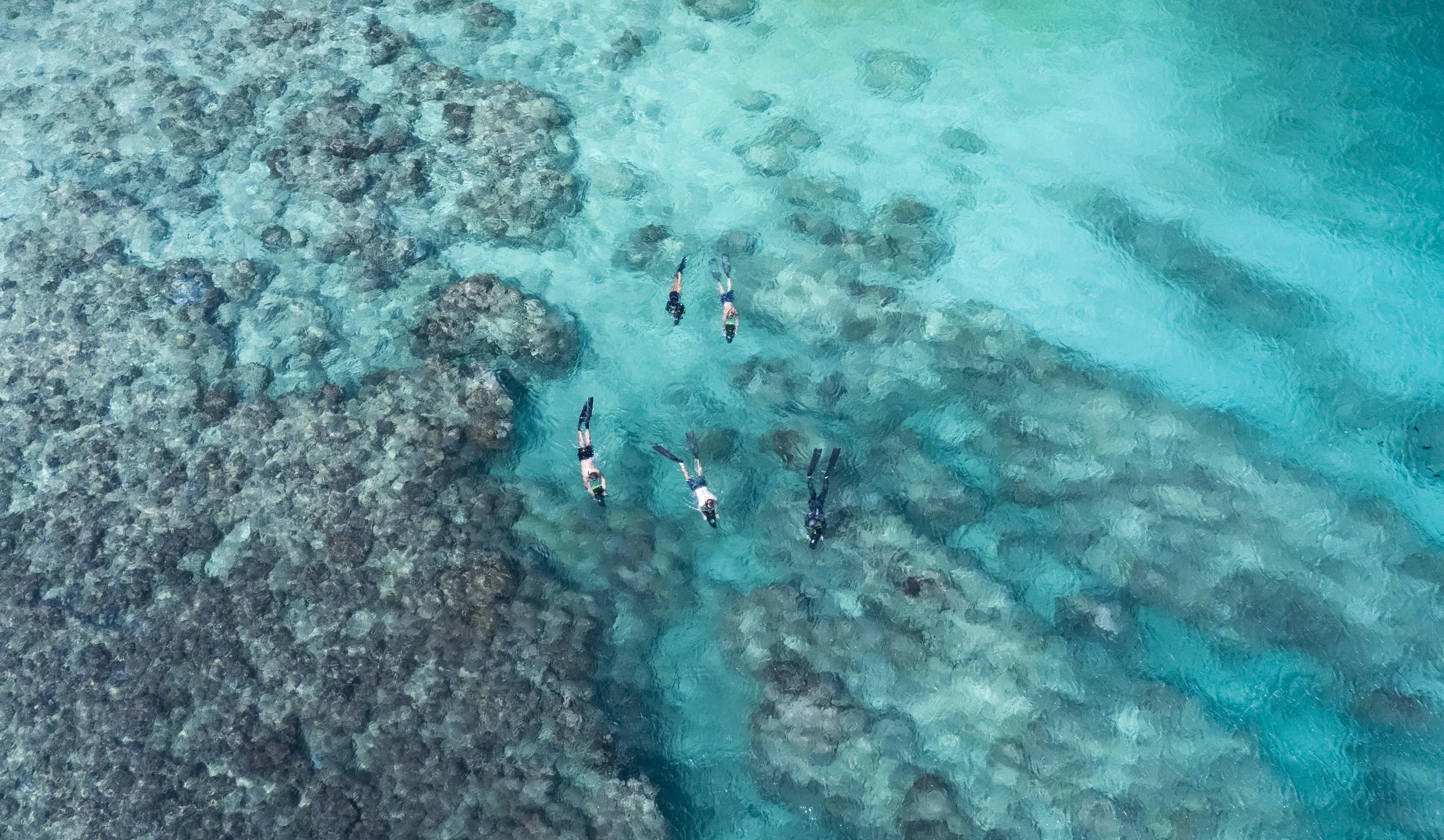 Christmas+Island+(Base+Imagery)-158 (1).jpg