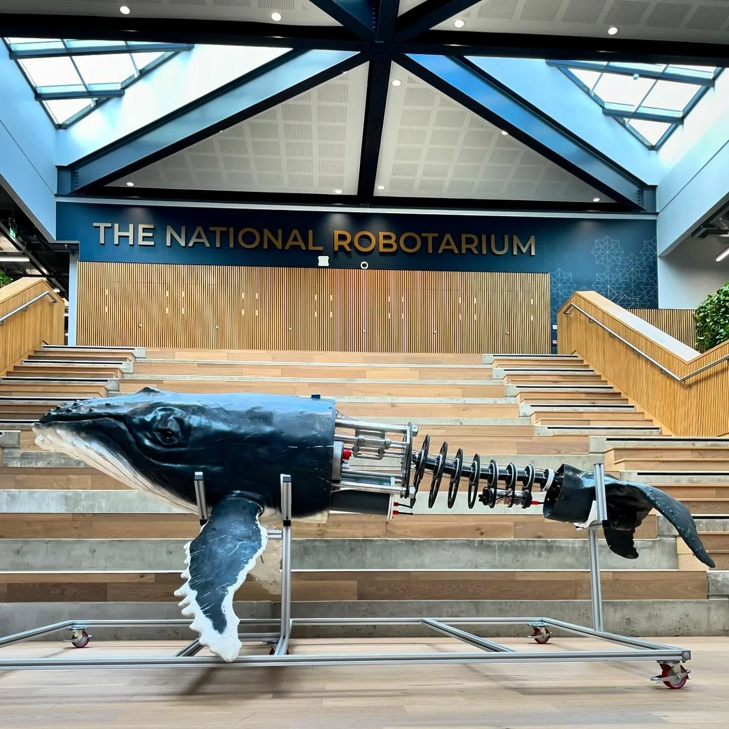Shooting in a cool location today - The National Robotarium.  They have some very cool tech in this building including this #robotwhale which isn&rsquo;t a hugely popular hashtag but it should be! #robots
