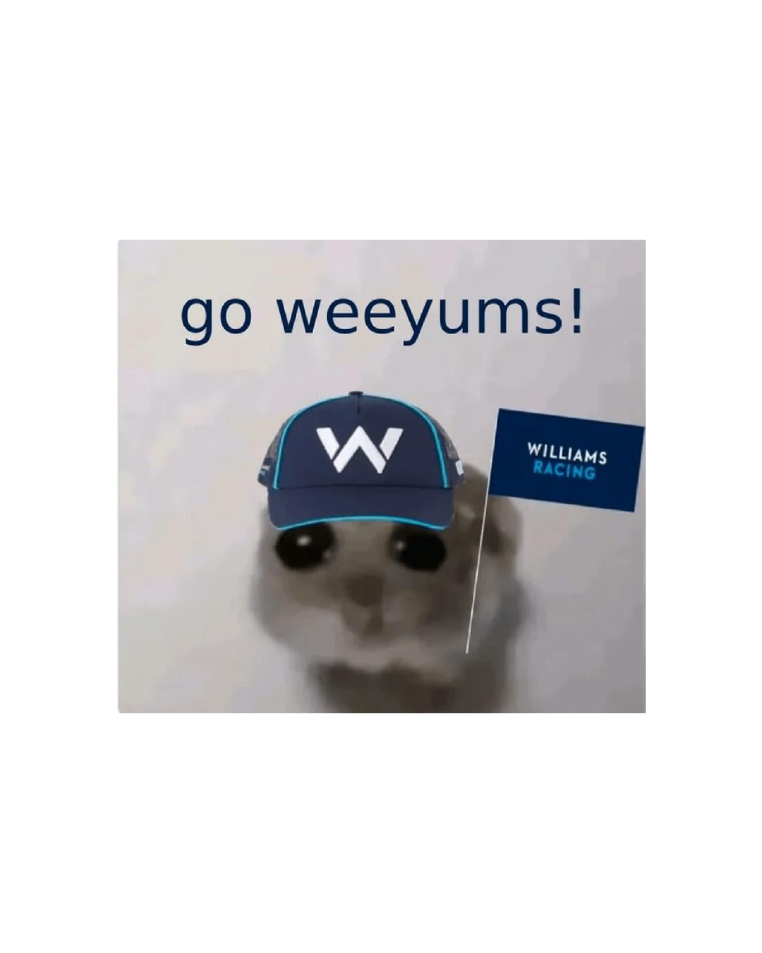 Weeyums meme - Web Image - Ascari.png