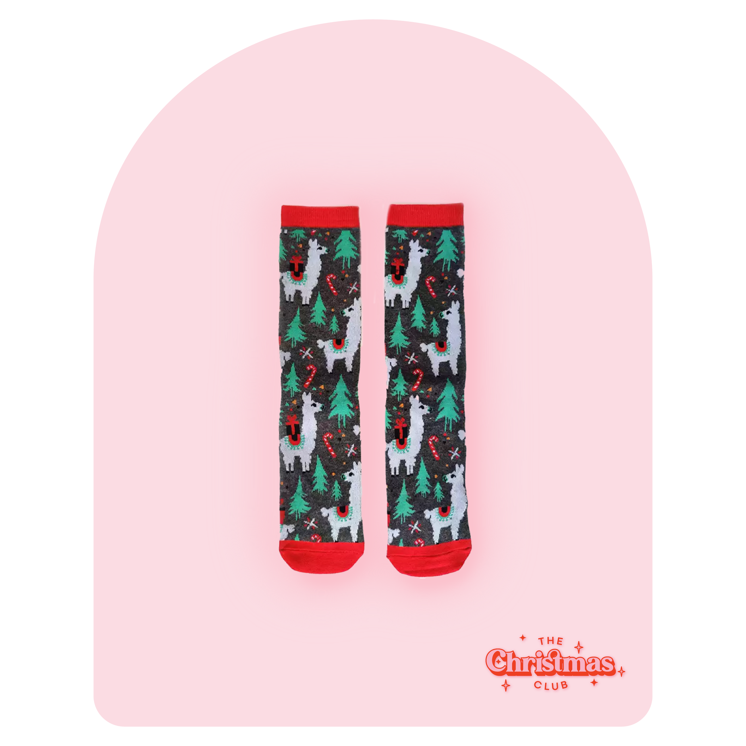Christmas Llama Socks_.png