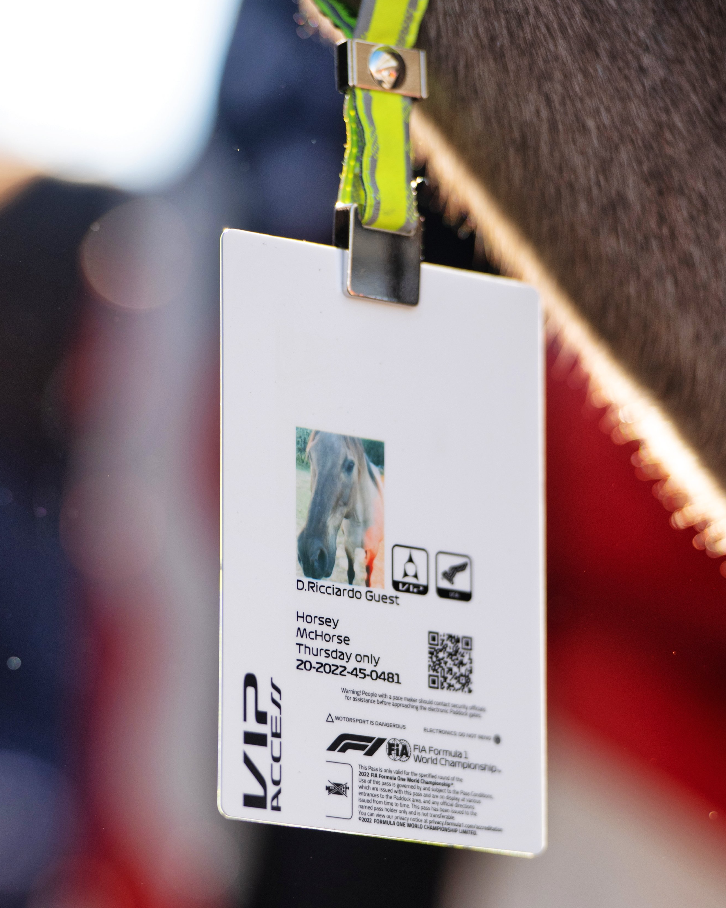 Horsey McHorse - Web Image - Ascari.png