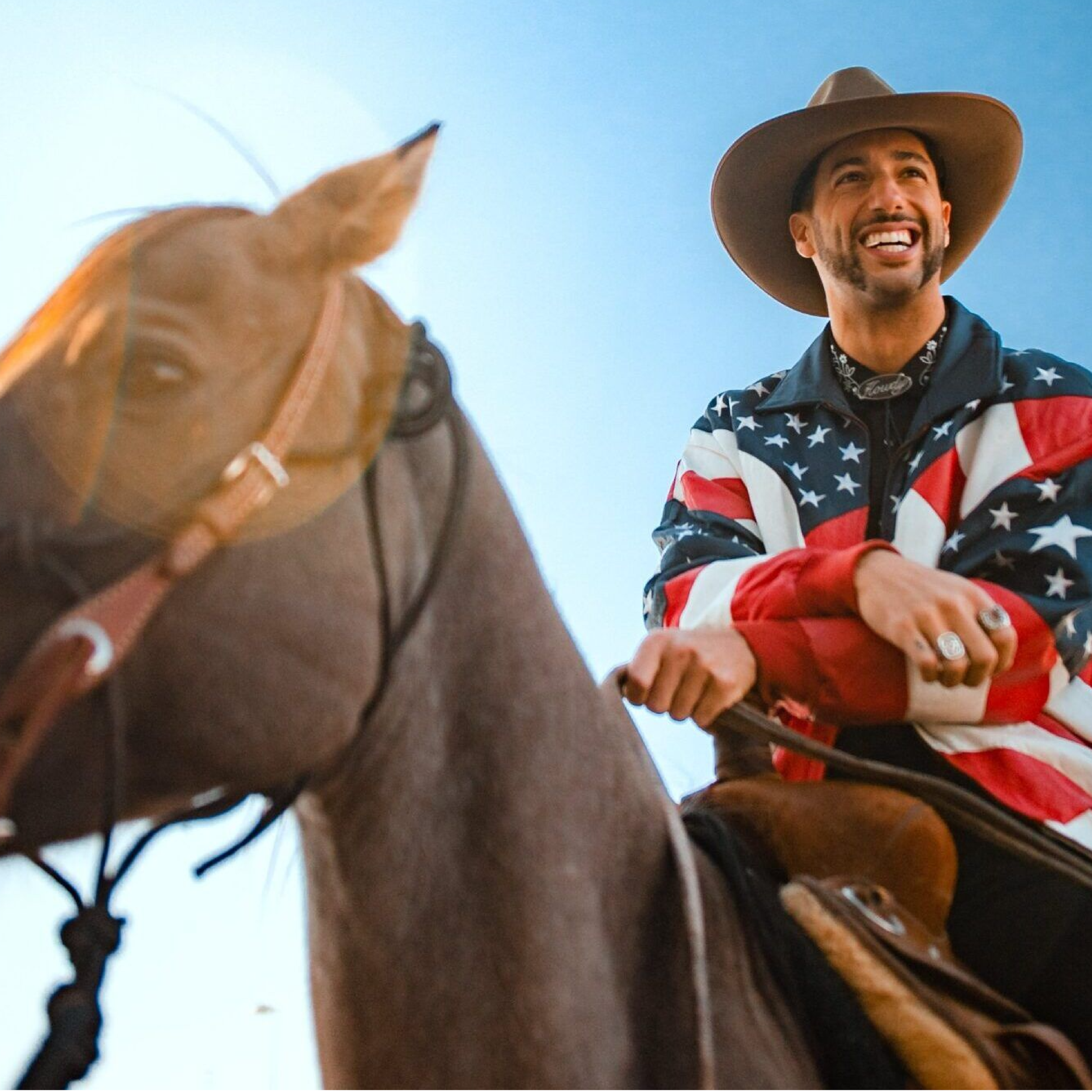 Horsey McHorse Image.png