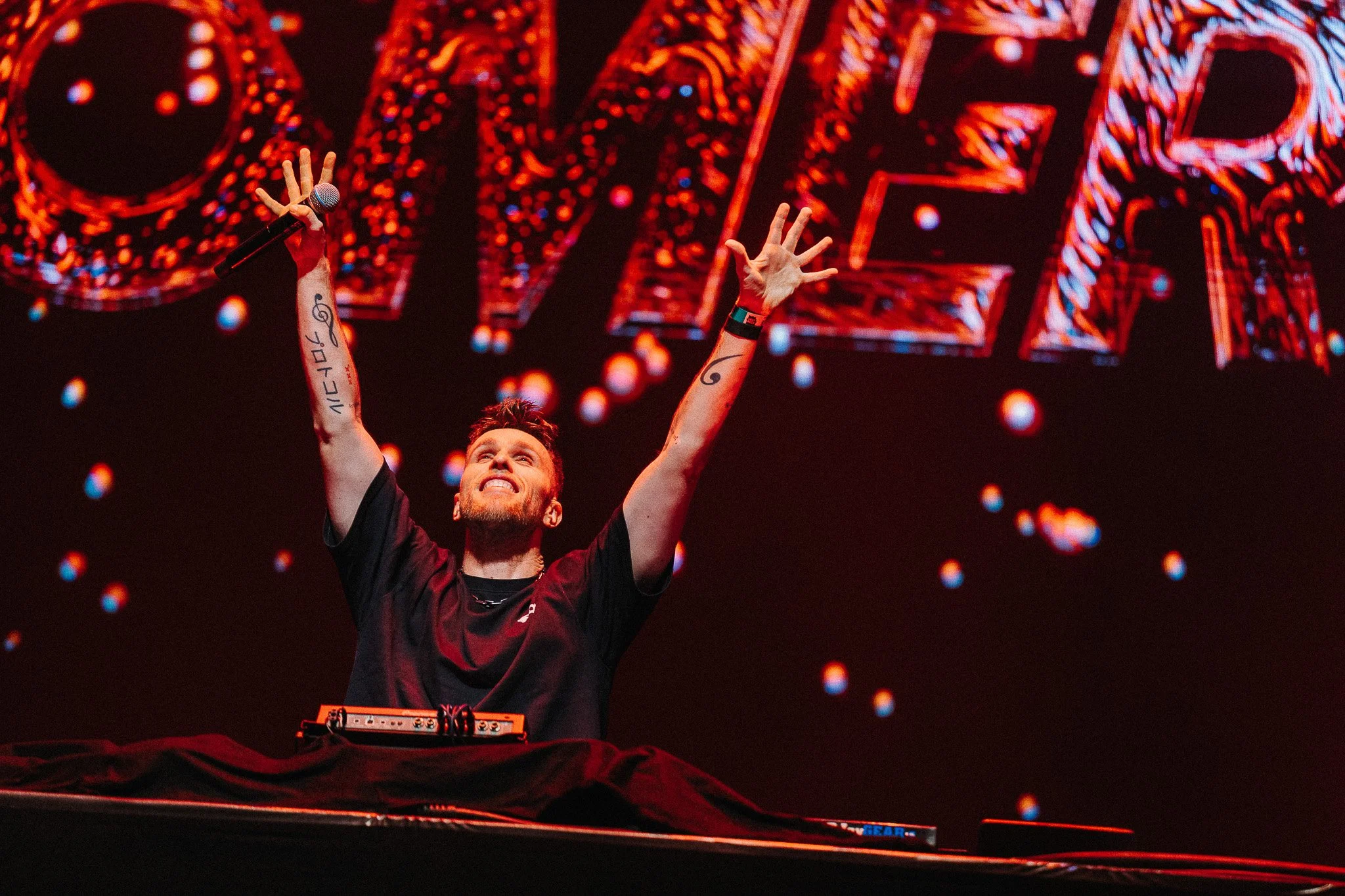 Nicky_Romero_Gorik_2.jpg