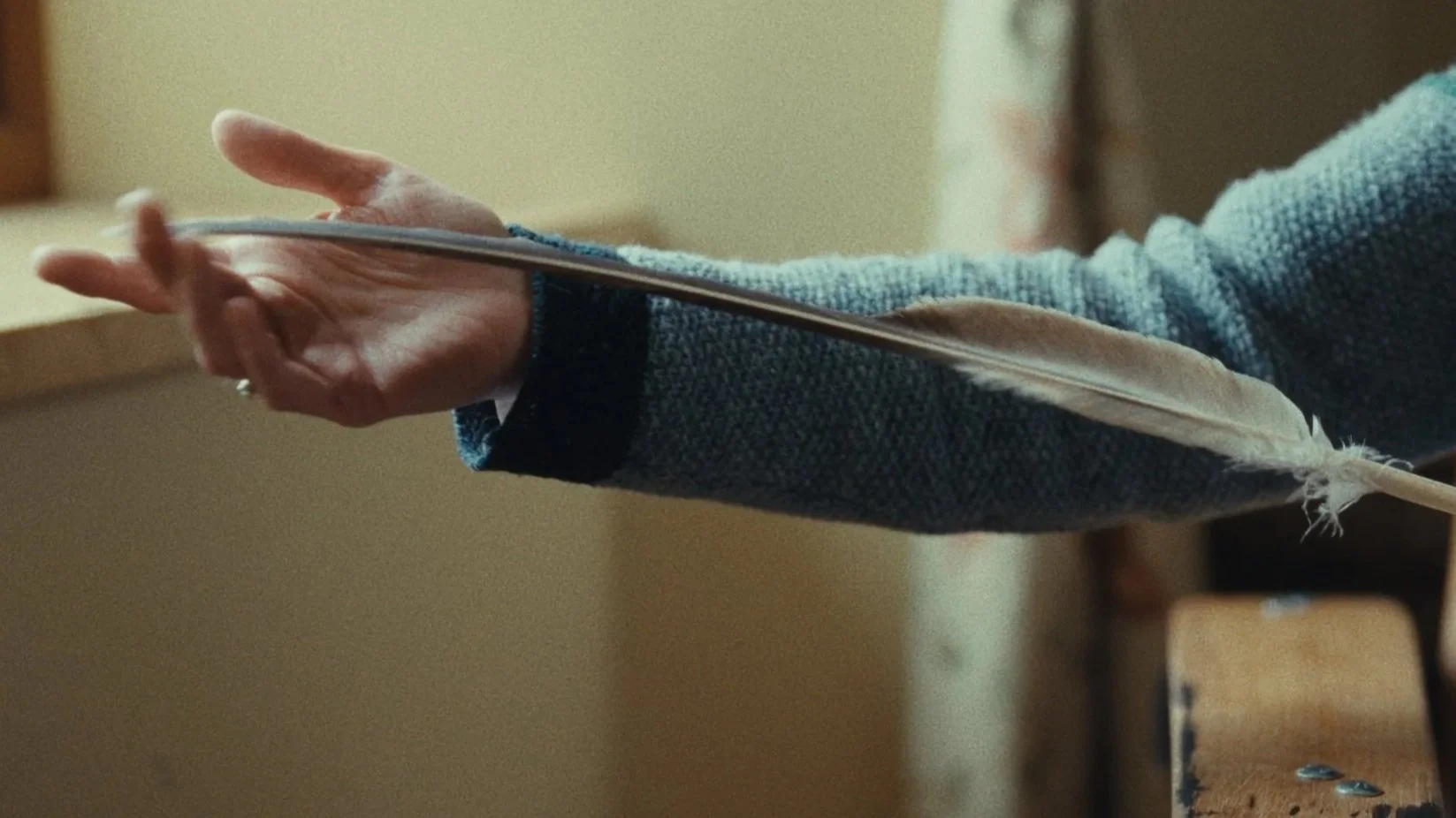 Return // RSPB Documentary