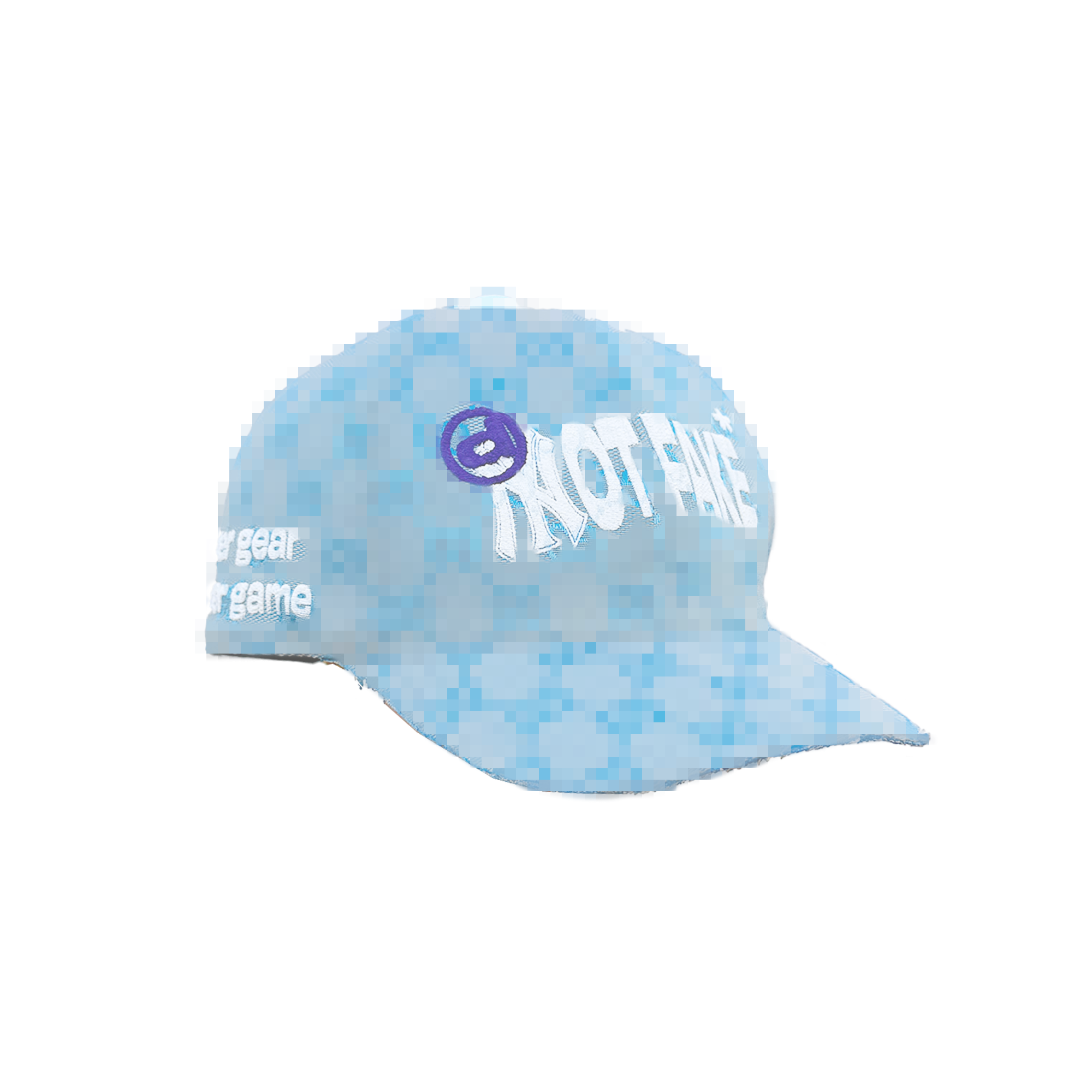 ICE NOT FAKE 2