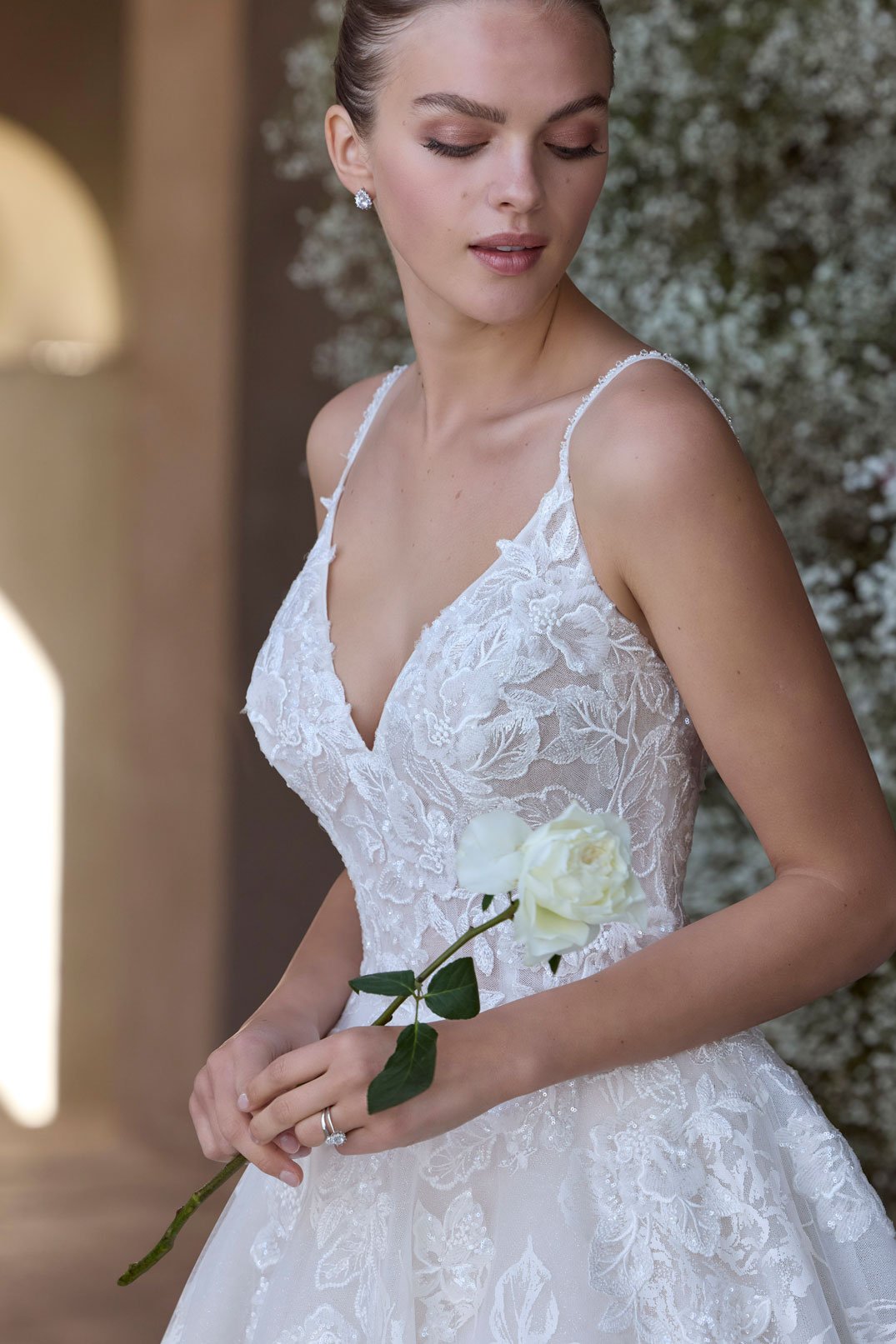 Rosie-2988----2.jpg