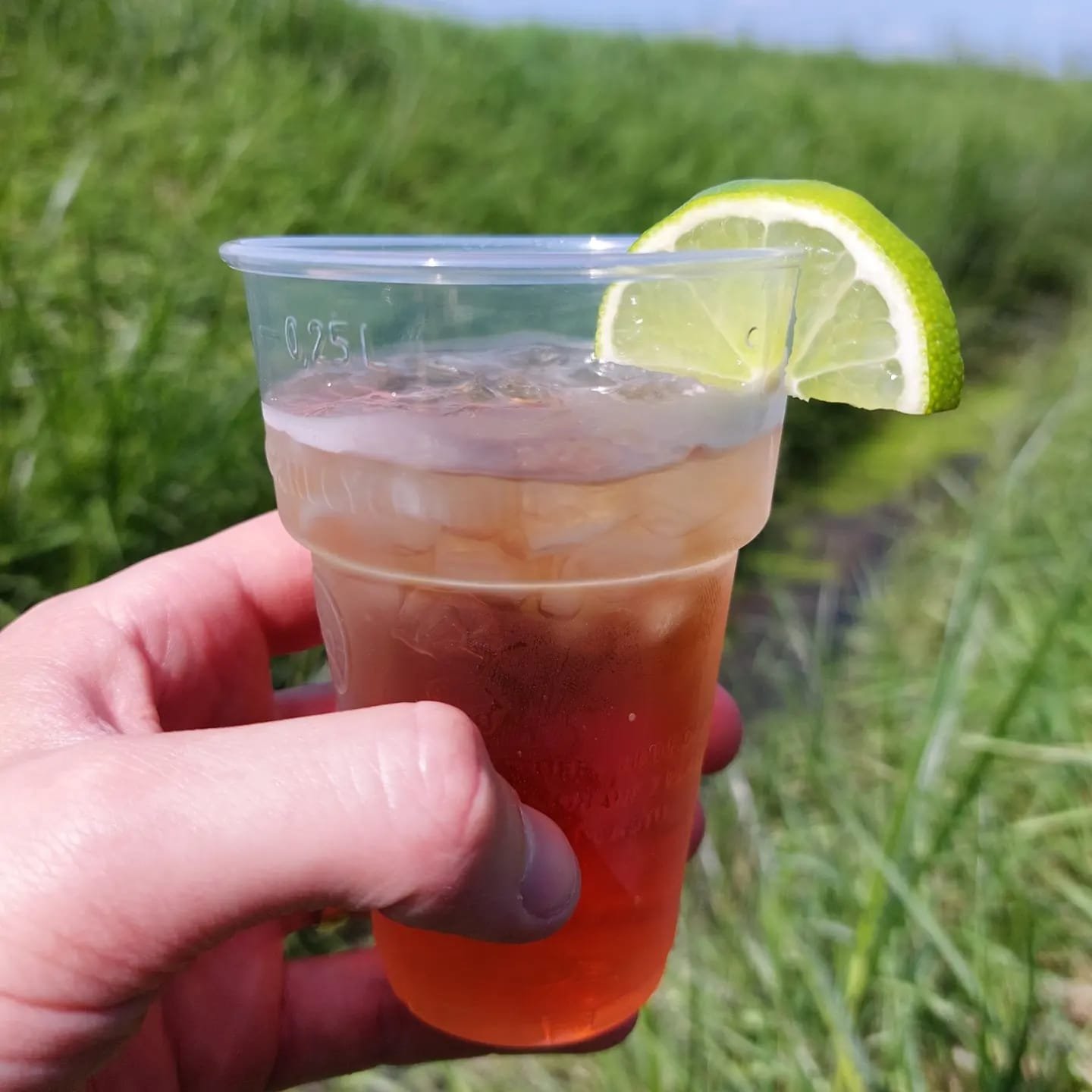 WhatsApp Image 2024-08-19 at 13.32.11 (1).jpeg