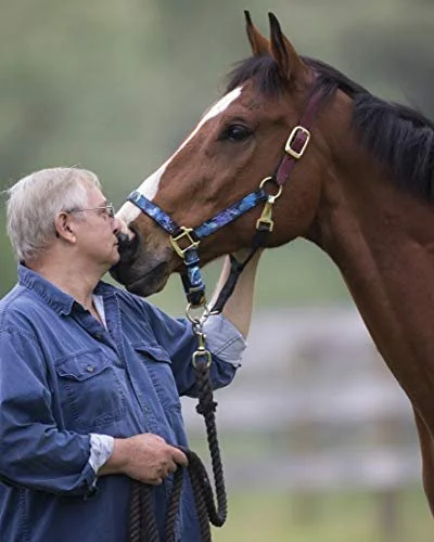 Ron Krajewski, wearing a blue jacket, gently touching the forehead of a brown horse with a white stripe on its face, outdoors in a grassy area.