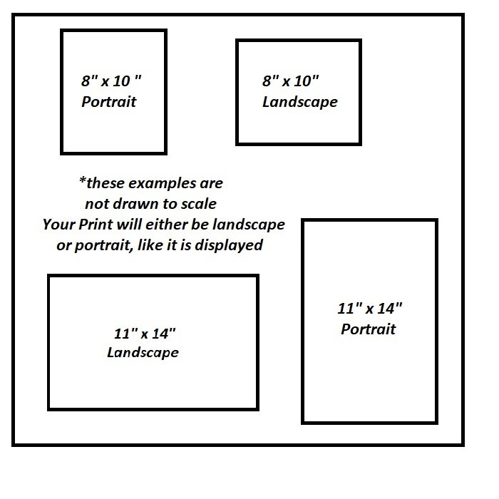 3 8x10 400 x 400 version 3.jpg (Copy)