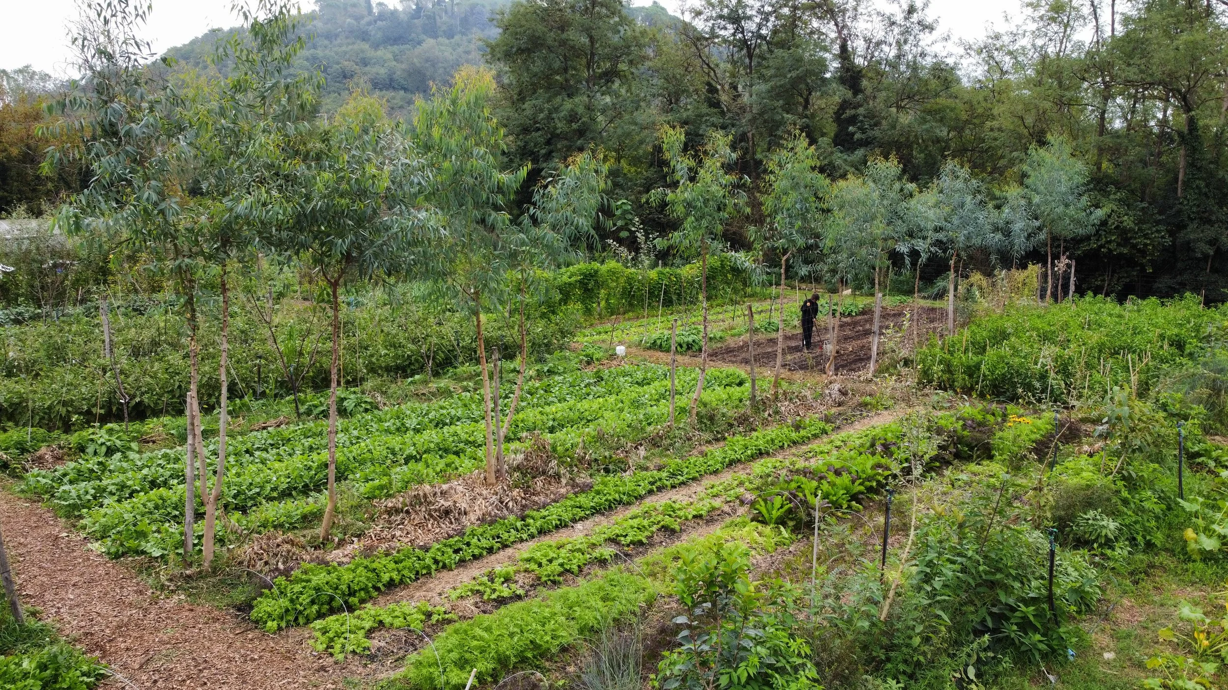 Cos’è l’Agroecologia