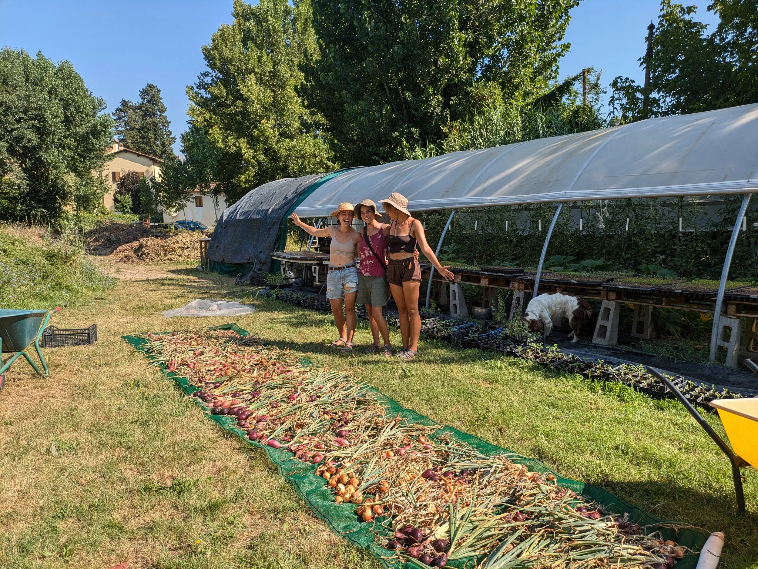 Che cos’è una Microfarm?