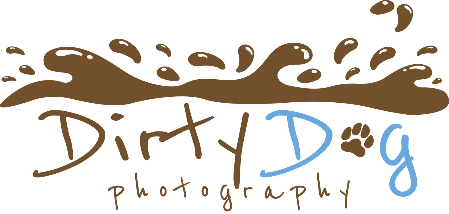 Dirty Dog Photography