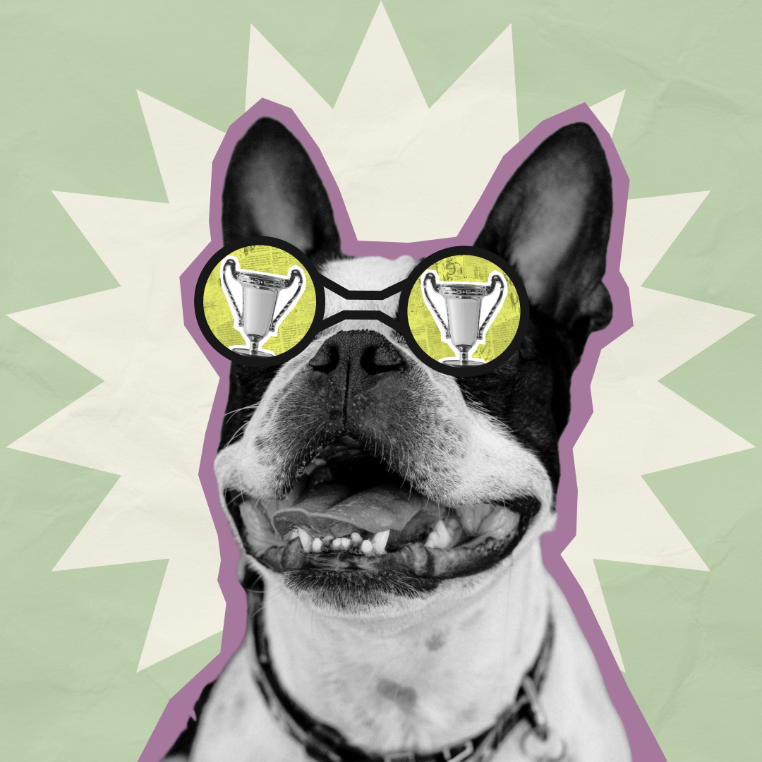 buzzly_04.png