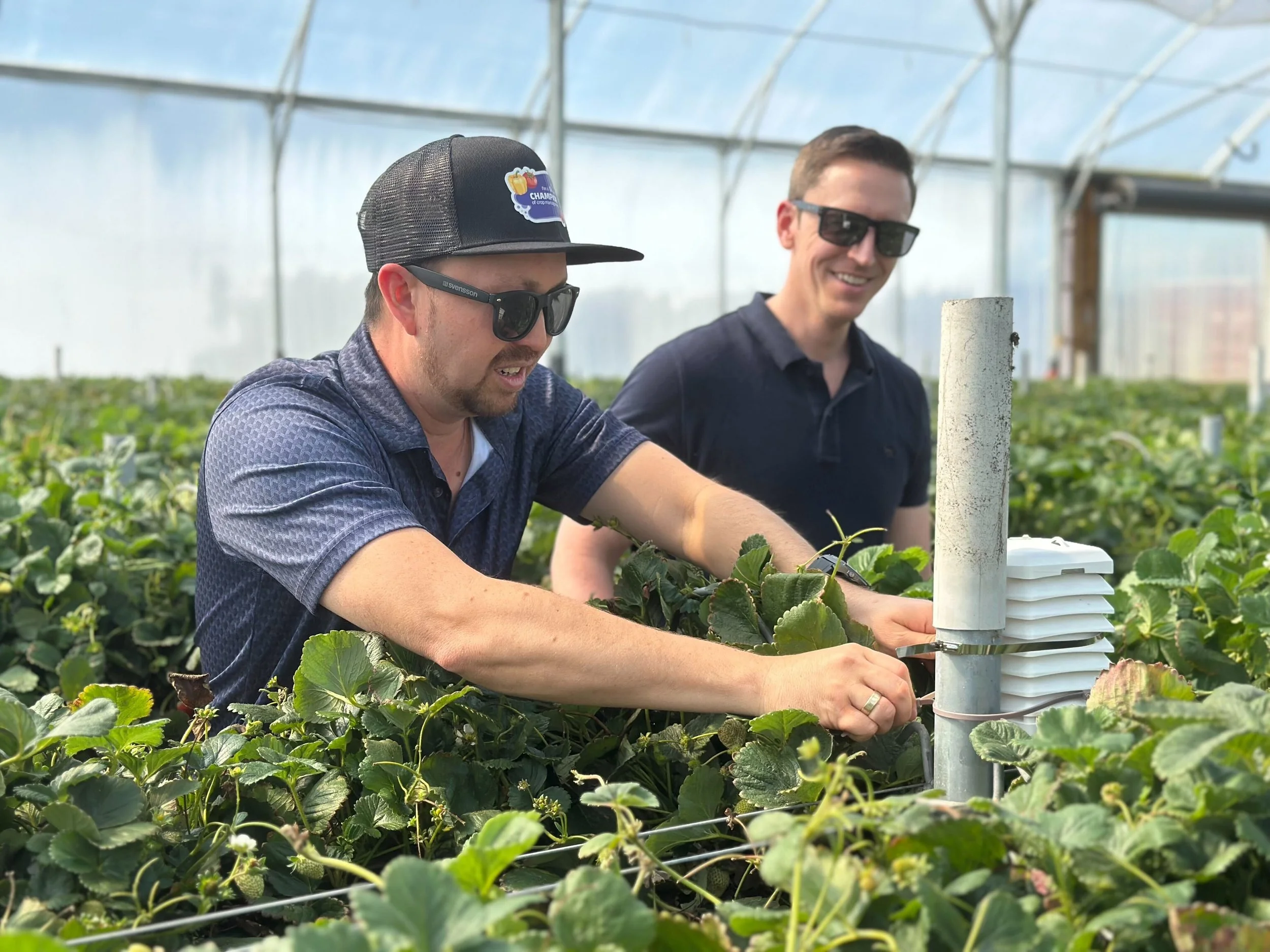 Saving Hours of Guesswork for Growers & Technicians with a New Sensor Management Experience