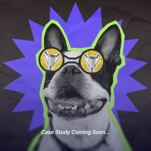 Captivating Young Audiences with a Fresh Brand Identity and Platform Redesign
