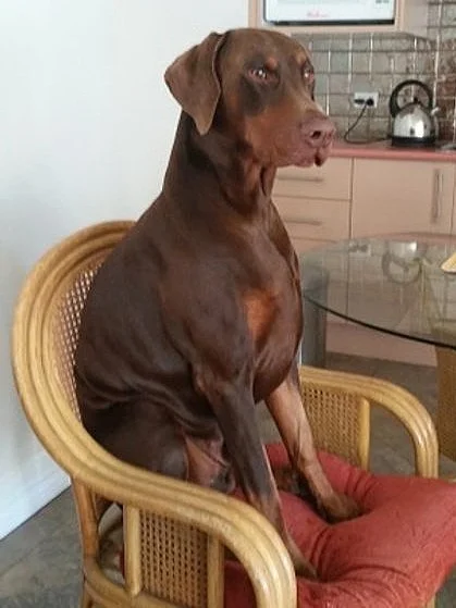 20180725_145551.jpg
