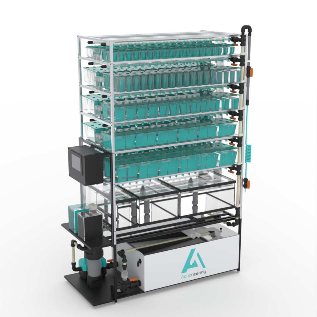 Revolutionizing Zebrafish Research: Introducing Aquaneering’s Next-Generation Housing Rack System