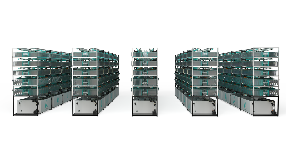 Fdiltration Rack Central Filtration System for Zebrafish — Aquaneering