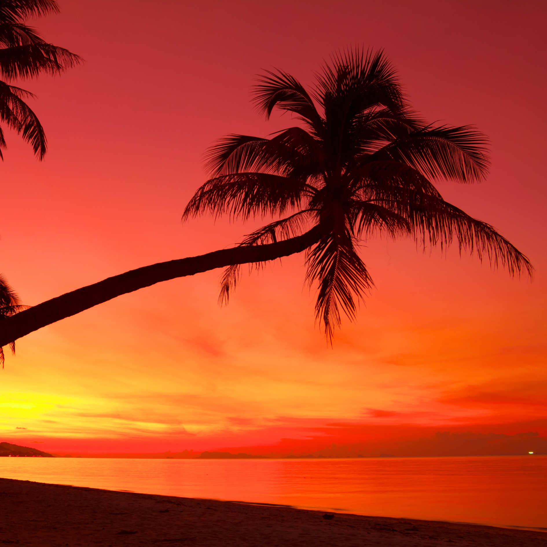 Behind the Palm Trees: The Challenges of Building and Developing Real Estate in Siargao