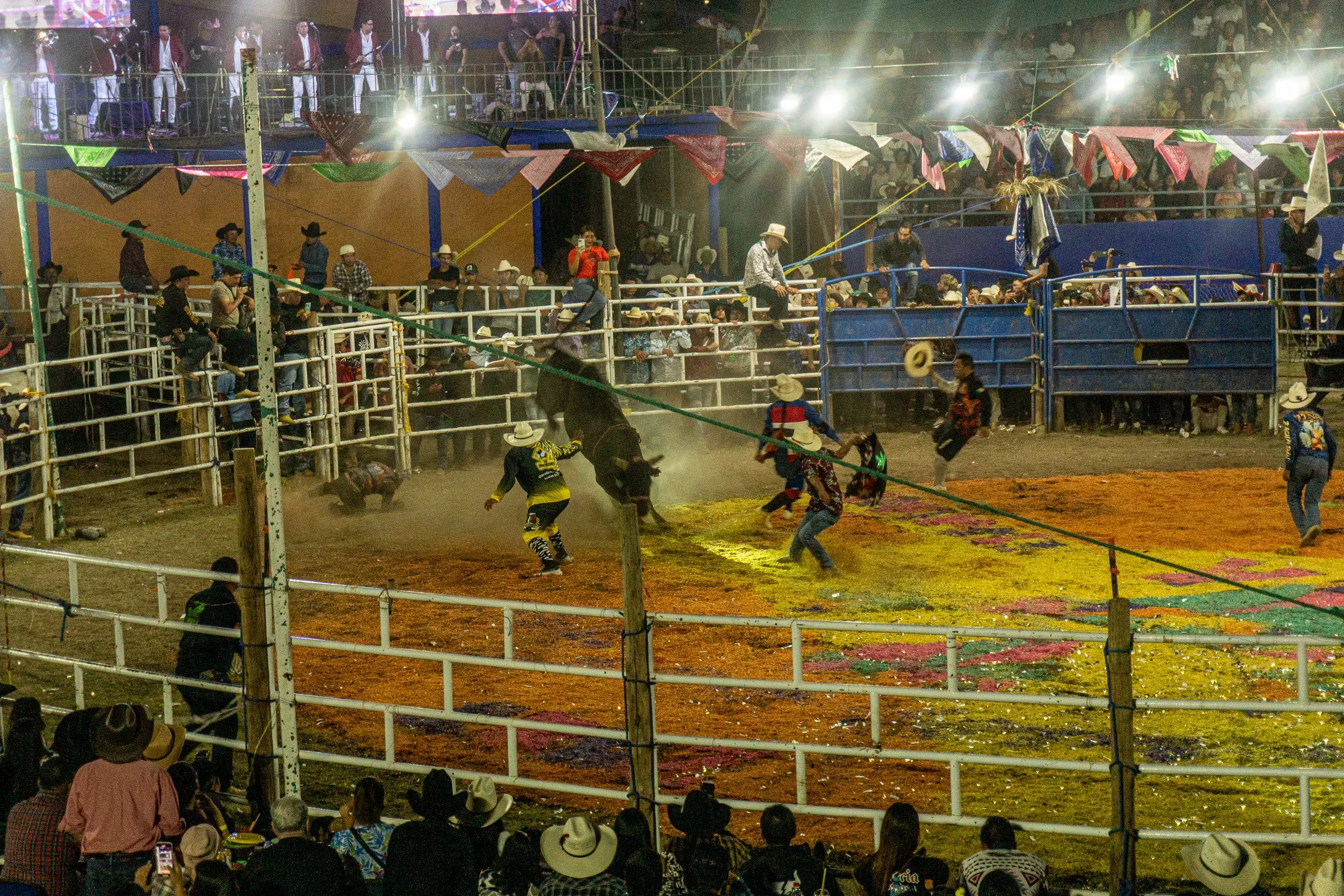 Jaripeo