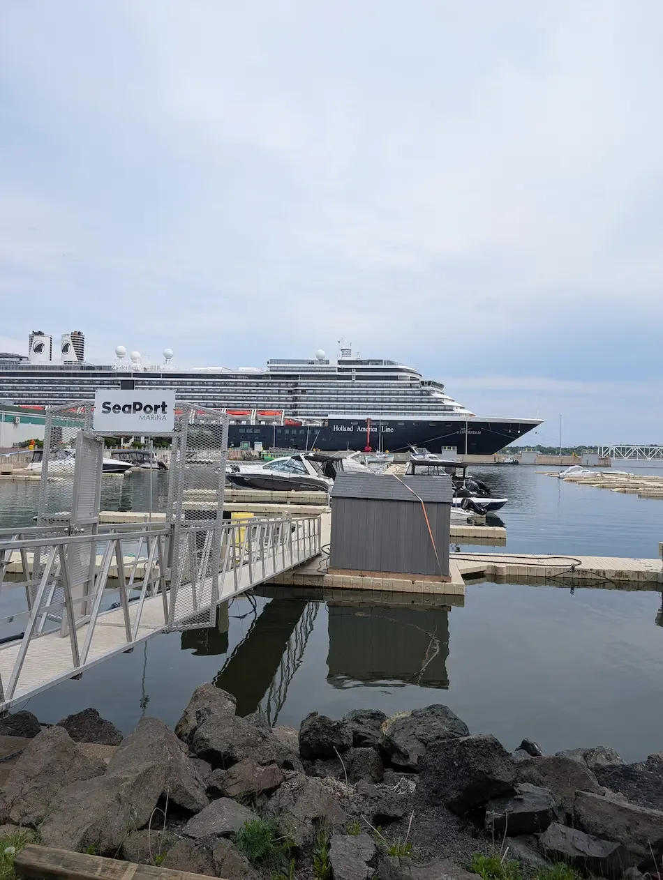 zuiderdam