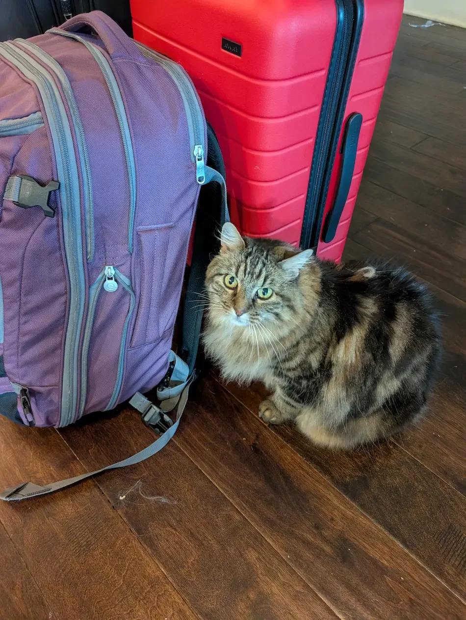 My luggage setup - Away Carry on - and Samsonite Mother Lode Jr guarded by my cat