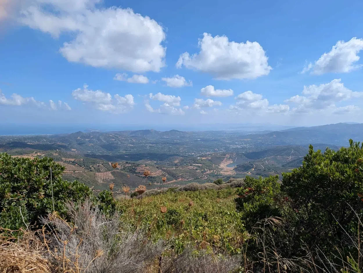 Crete Wine Tasting Tour Review