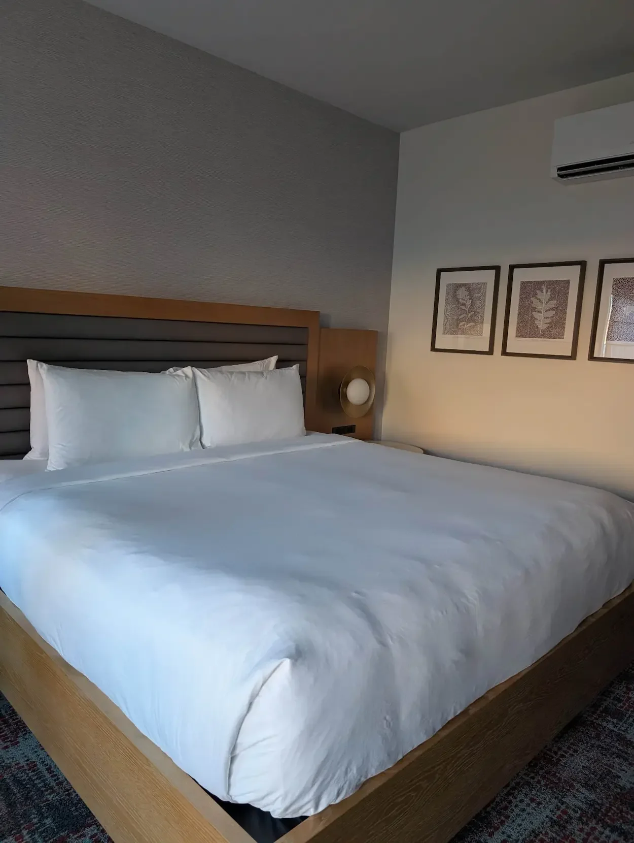 Hilton hotel De Novo Springdale - room king bed