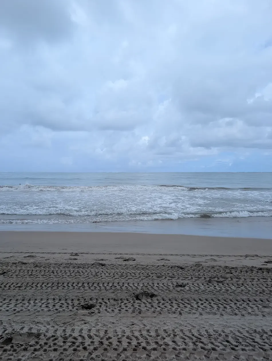 Vivo Beach Club Shore Excursion Review