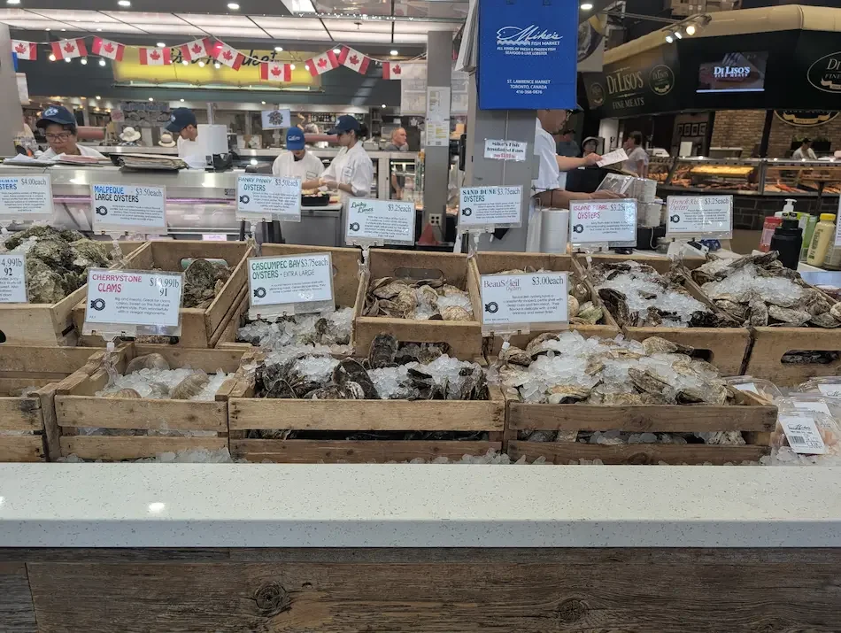 Oysters at St Lawrence Market