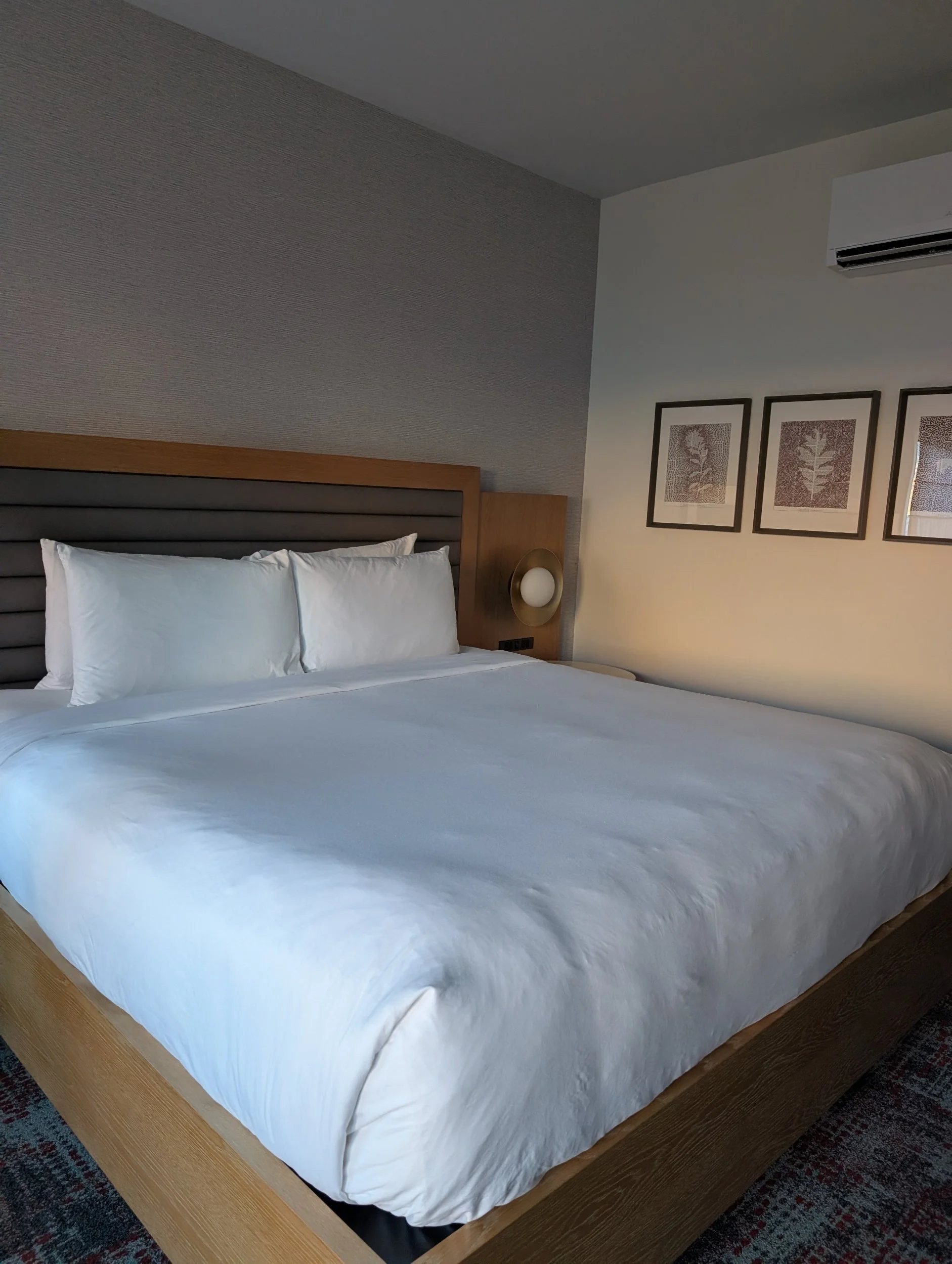 Hilton Springdale King Room