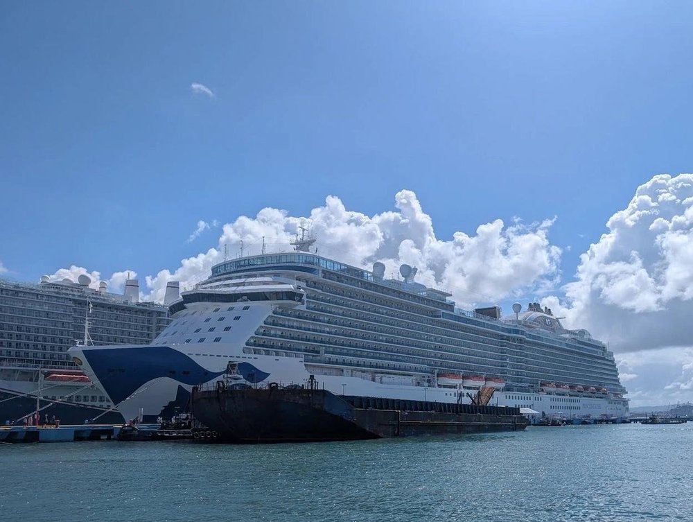 Princess Cruises Standard Fare - No Package Edition — No Point Left Behind