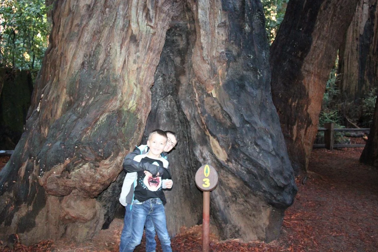 National Parks on Points