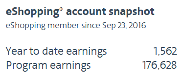 Airline Shopping Portals