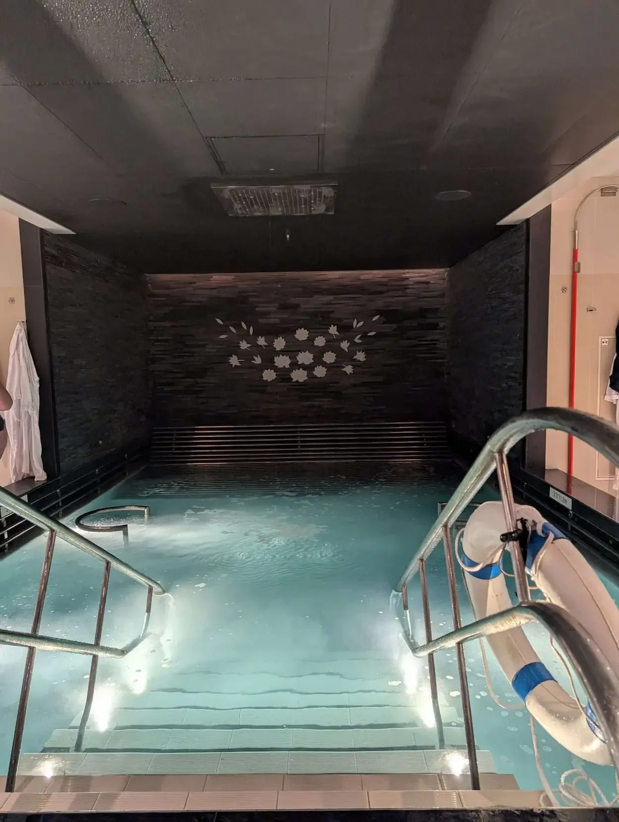 Thermal Spa Pool on Sky Princess in The Lotus Spa