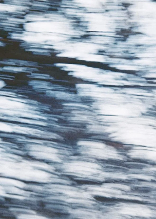 267943550_590114405409201_1955308065798389122_n copy.jpg