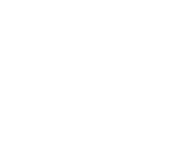 Fling