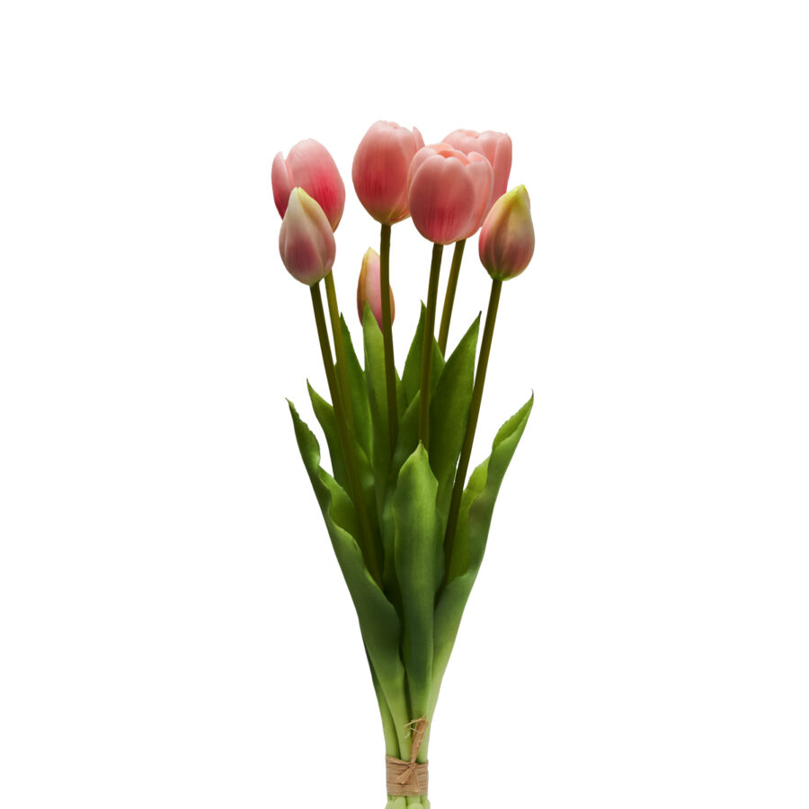 Bouquet di tulipani