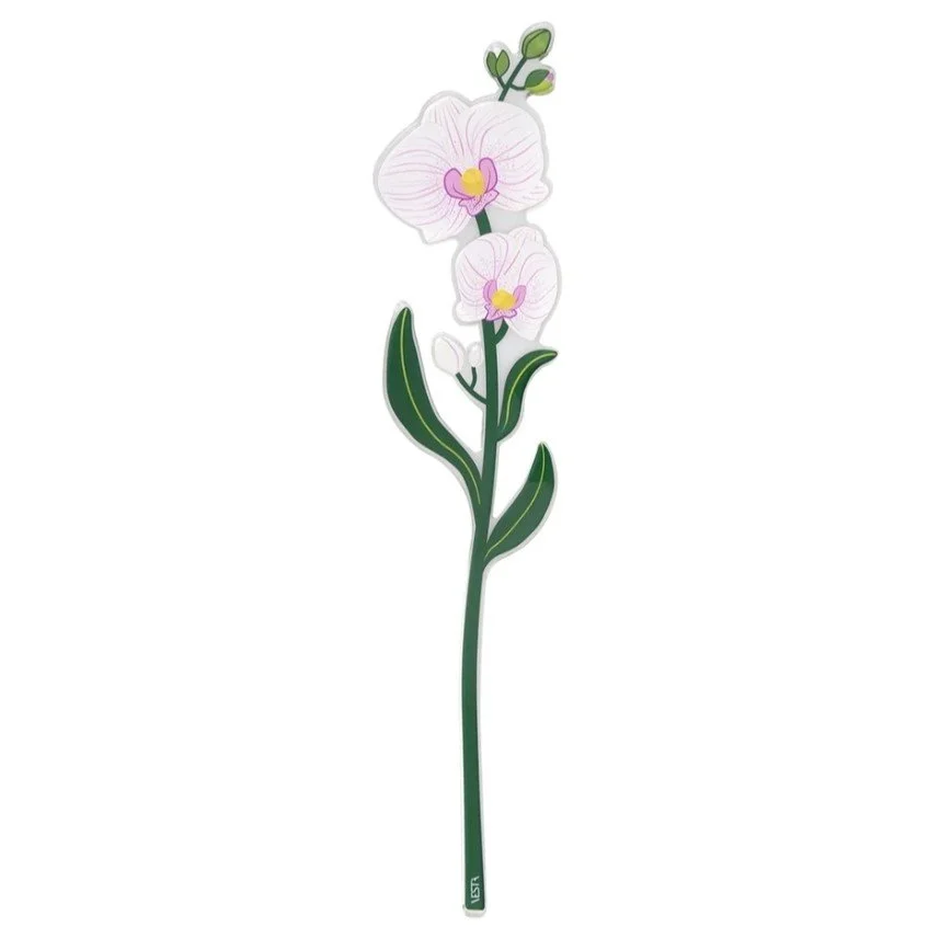 orchidea02.jpeg