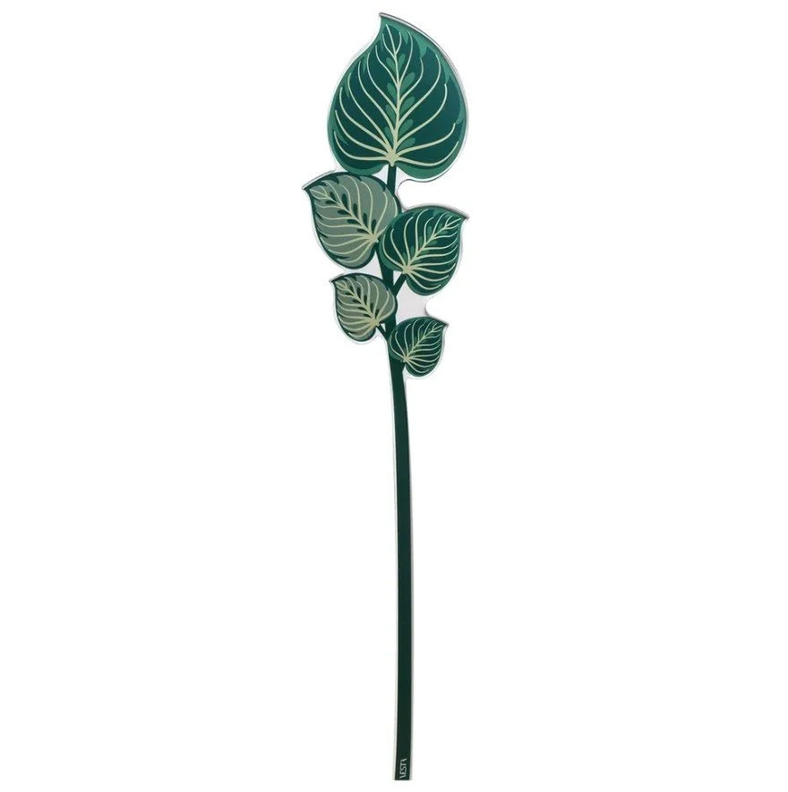 maranta 03.jpeg