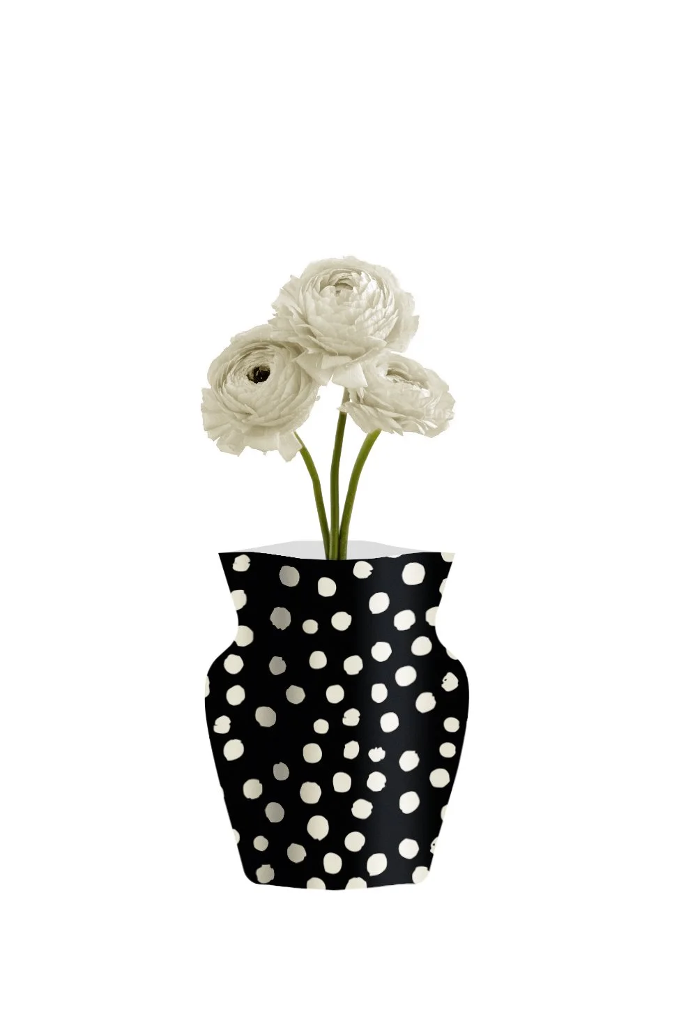 dressy pot big 10.jpg
