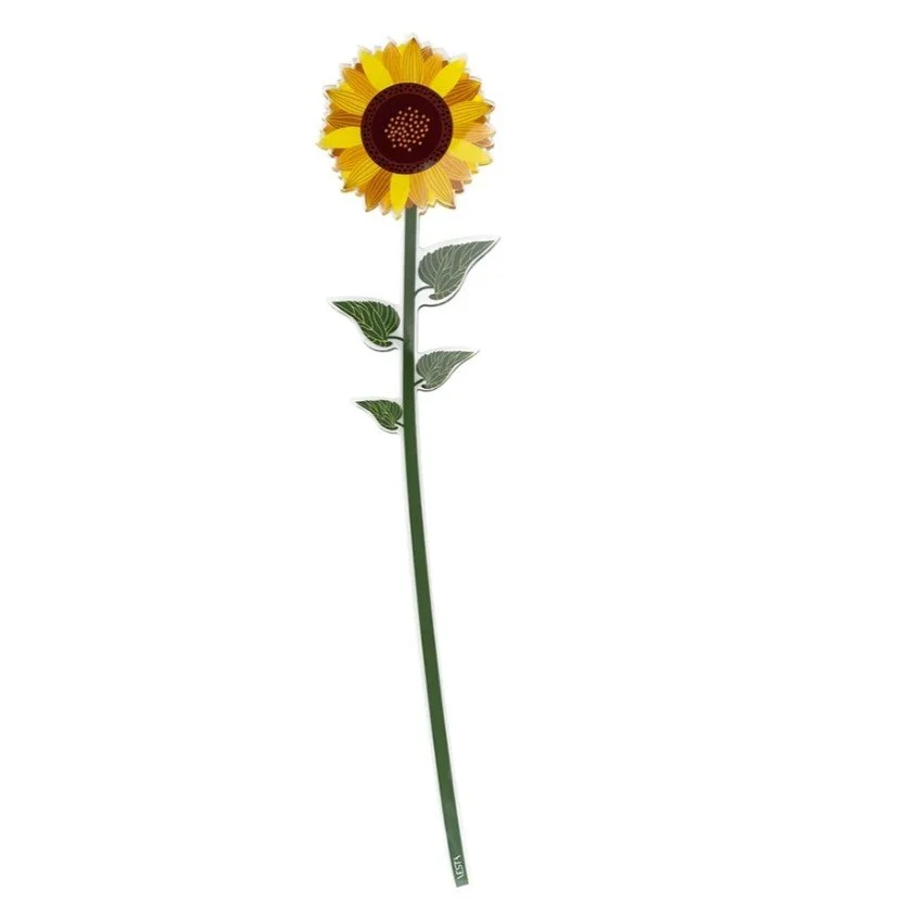 girasole03.jpeg