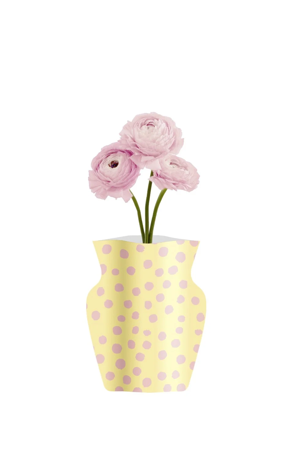 dressy pot big 04.jpg