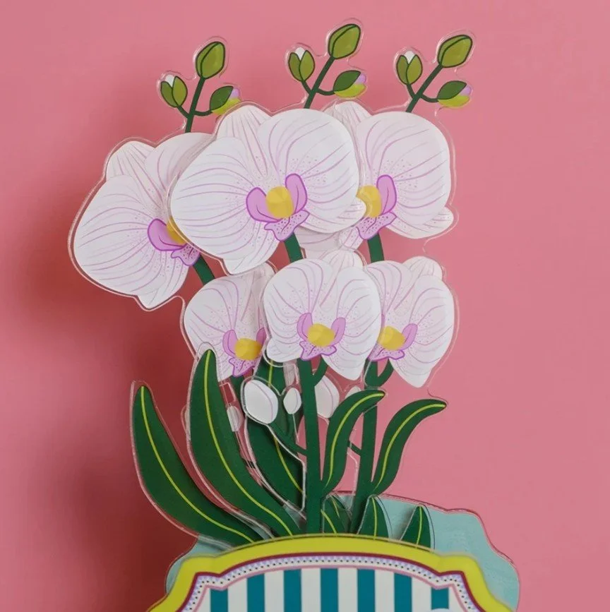 orchidea01.jpeg