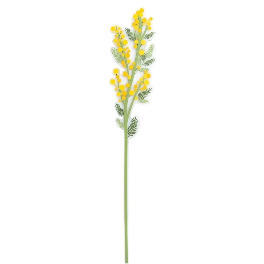 mimosa01.jpeg