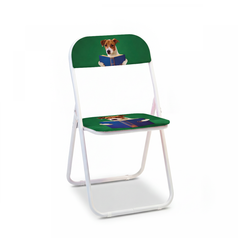 sedia toilet cane libro.png