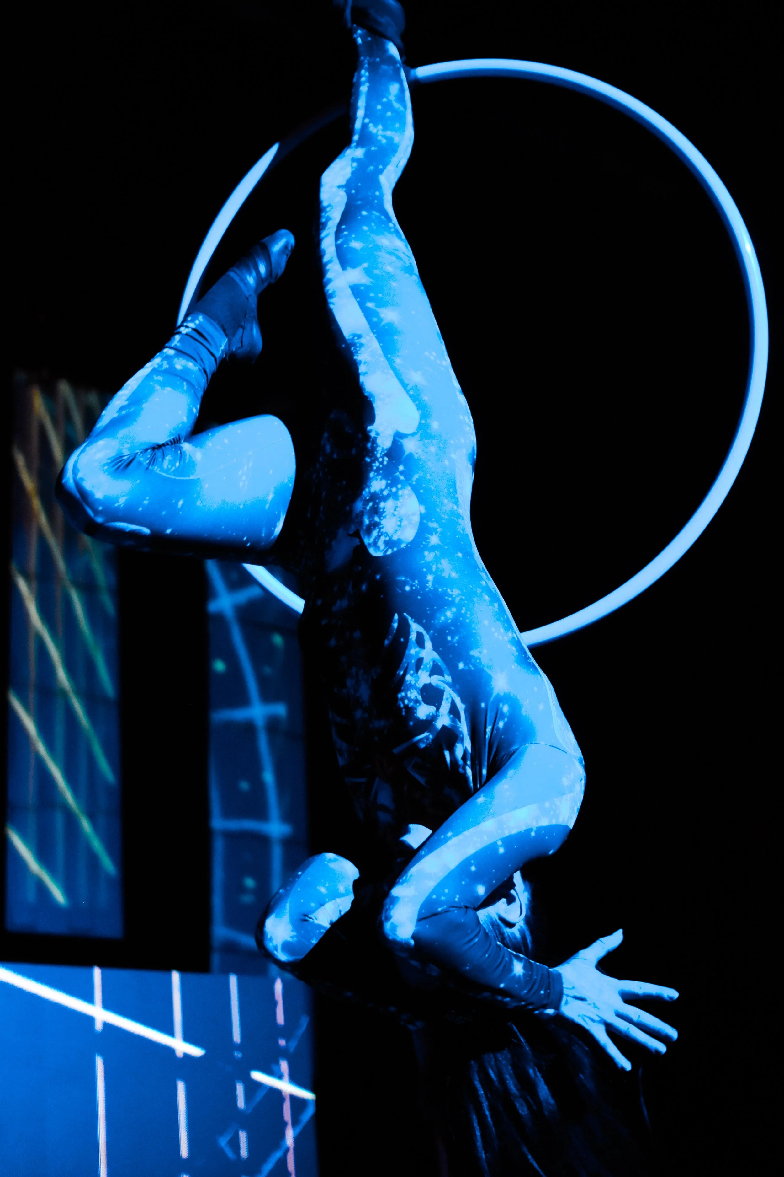 DSC_8953.jpg
