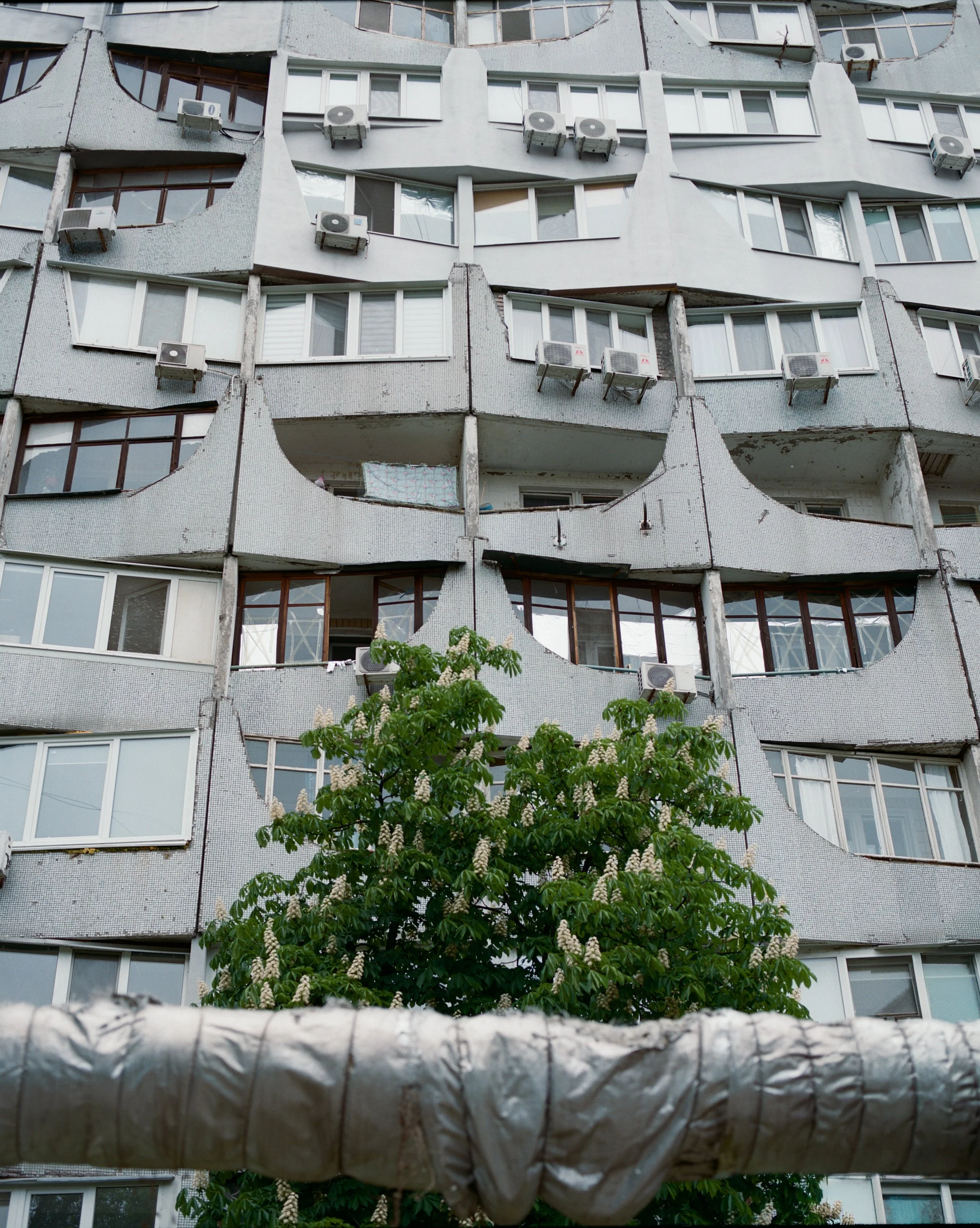 Udovenko-22.jpg