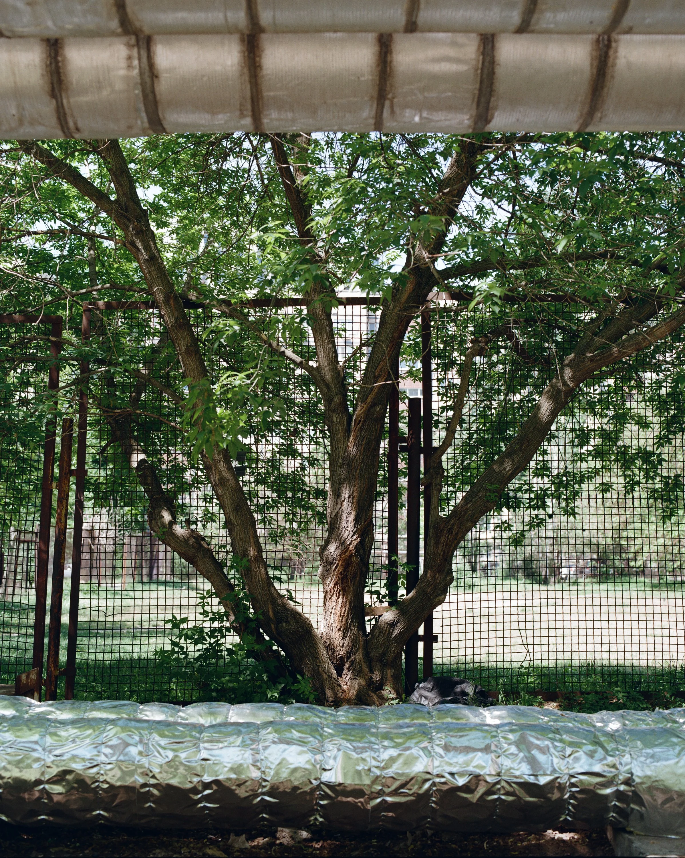 Udovenko-32.jpg